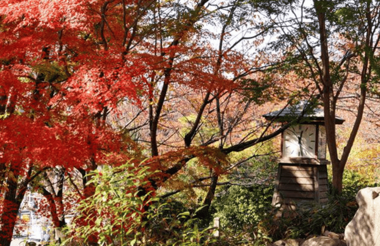 日本紅葉｜1. 飛鳥山公園